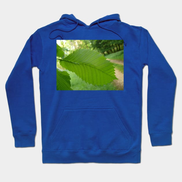 Green leaf Hoodie by NatureFan